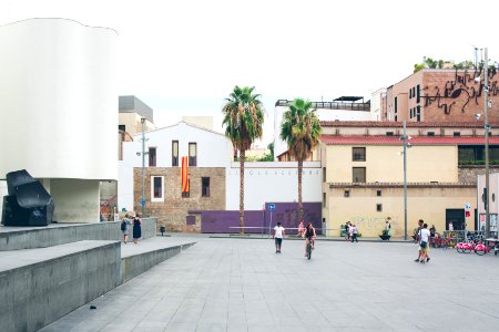 Spain, Skateboard, Palm