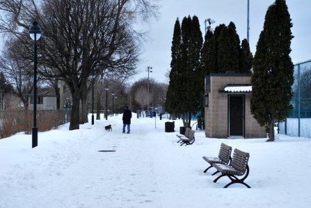 Montreal, Canada, Walk