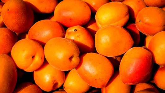 shallow focus photography of orange fruit lot photo