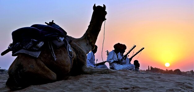 Desert dune india photo