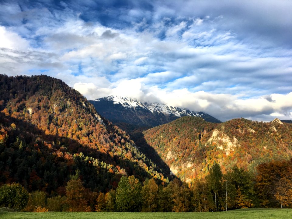Polje, Begunje na gorenjskem, Radovljica