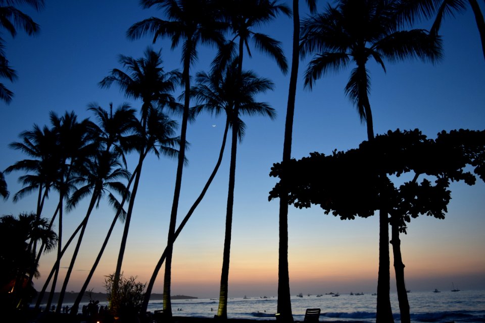 Tamarindo, Costa rica, Sunset photo