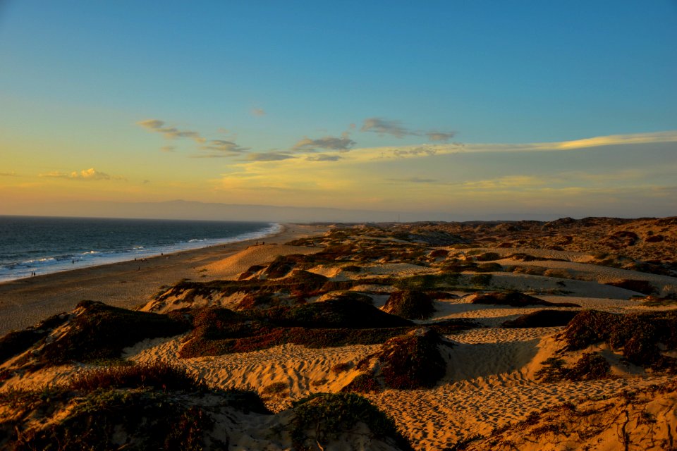 Monterey, United states, Dune