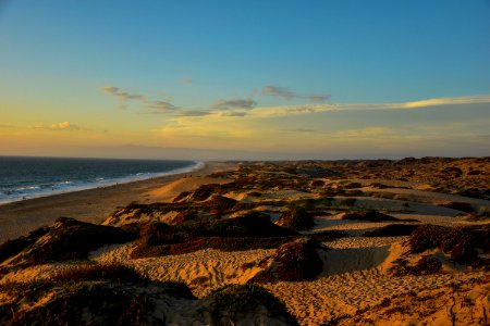 Monterey, United states, Dune