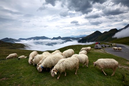 France, Col daspin, Aspinaure