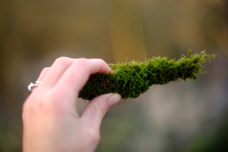 Cork, Irel, Green