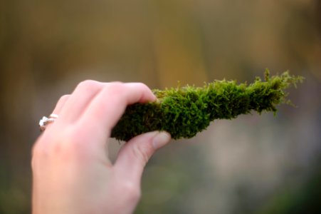 Cork, Irel, Green photo