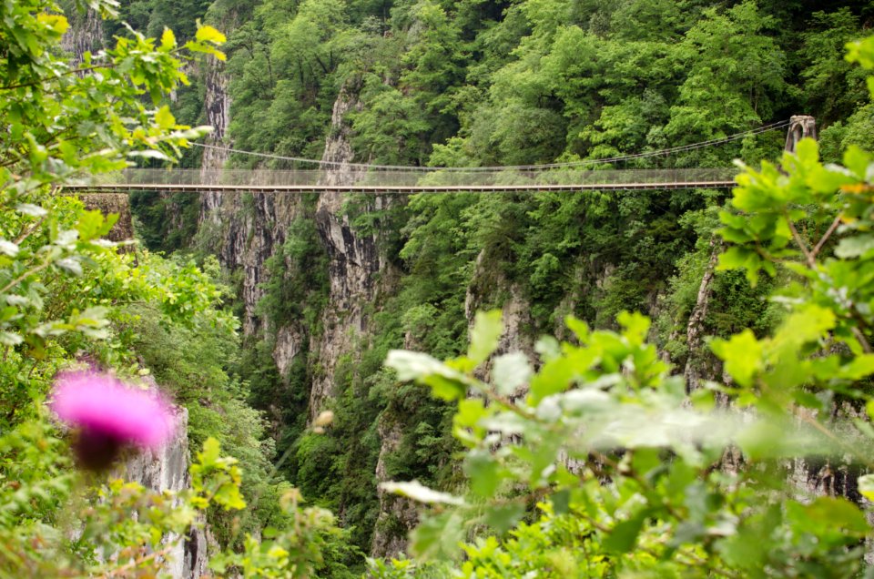 Passerelle dholtzarte, France, Suspension bridge photo