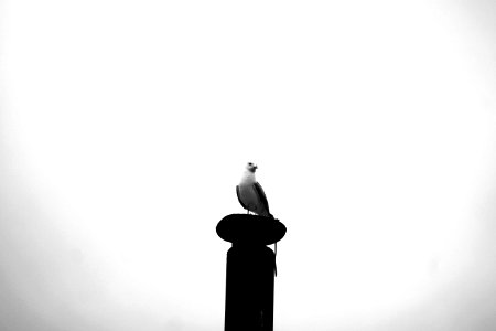 Trondheim, Norway, Smokestack