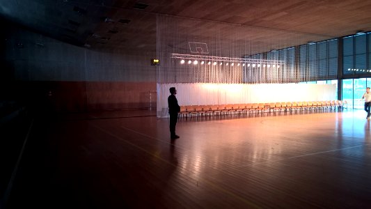 person standing in stadium photo