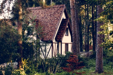 Forest, House, Summer