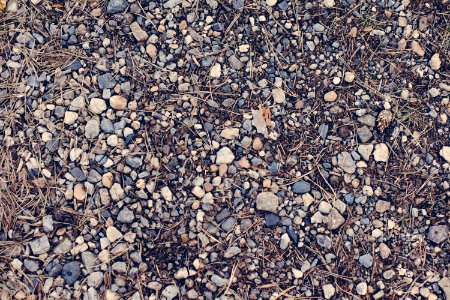 Summer, Stone