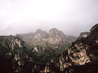 view of trees on top of mountain photo