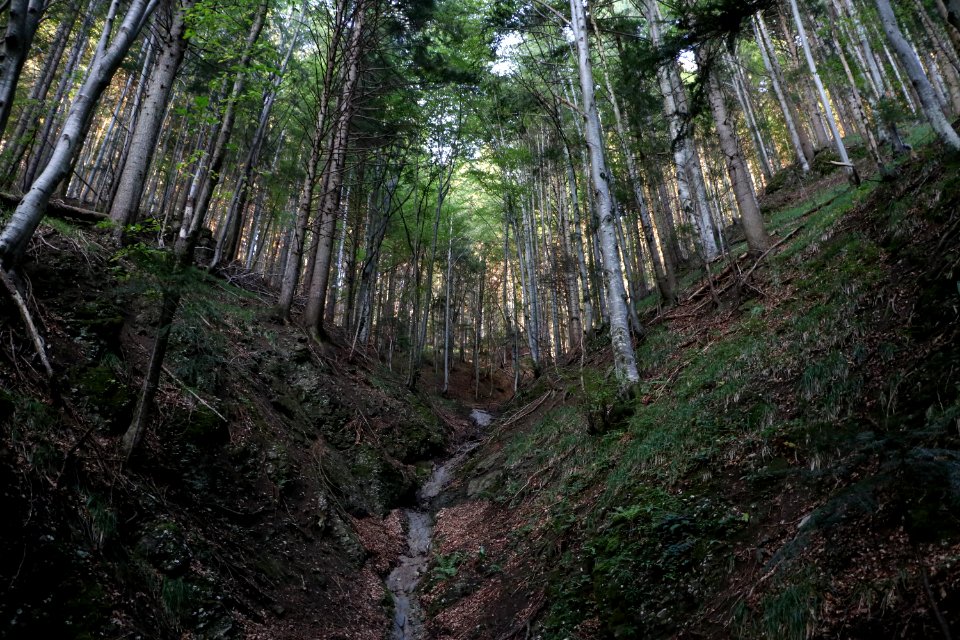 Climbing, Hiking, Scape