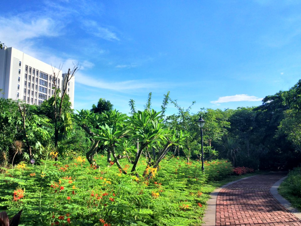 Hainan university, Haikou, China