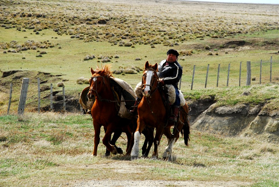 Porvenir, Chile, Horse riding