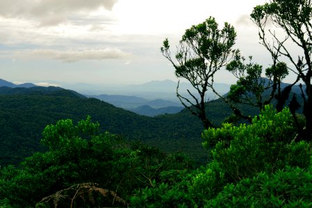 Castelo dos bugres, Brazil, Green
