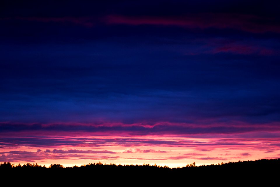 Sky, Forest, Sunset