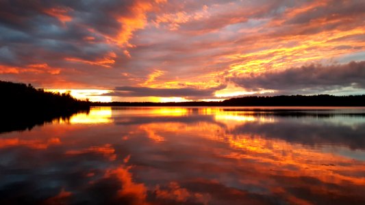 body of water near trees during golden hour photo