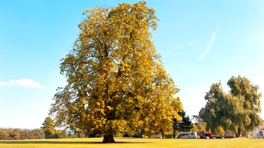 Germany, Essen, Scape