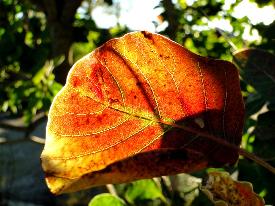 West chester, United states, Macro