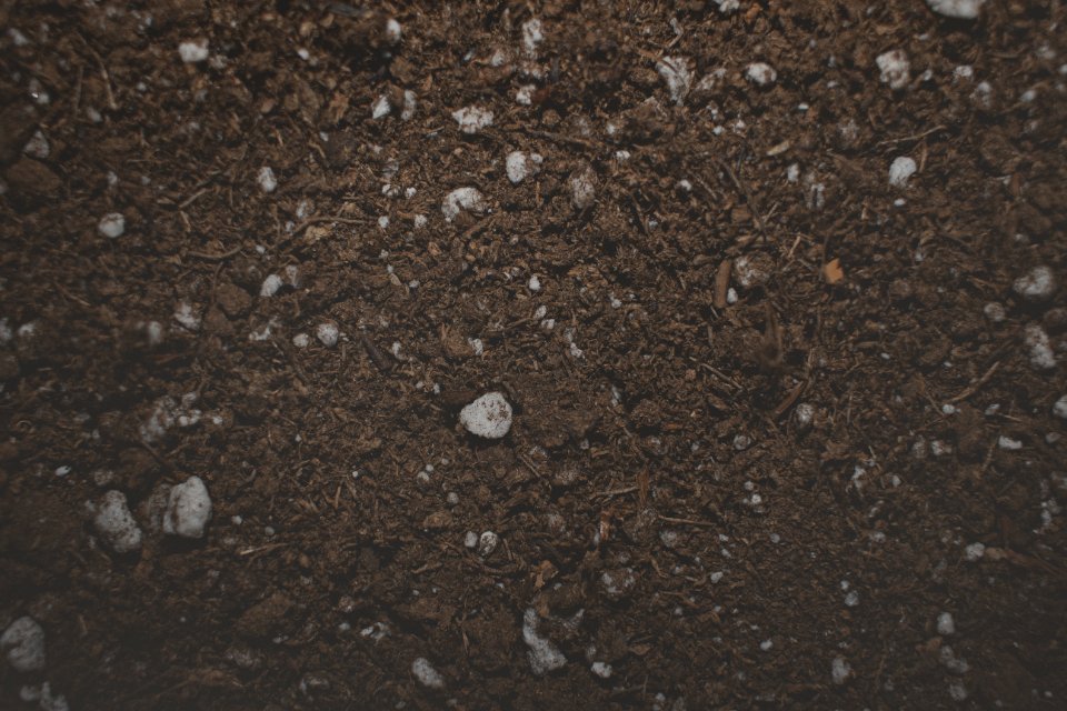 Rock, Rocks, Gardening