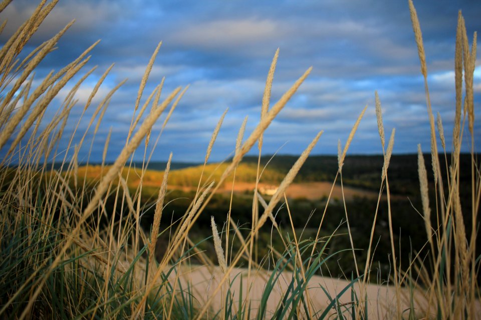 Sleeping bear dunes national lakeshore, Empire, United states photo