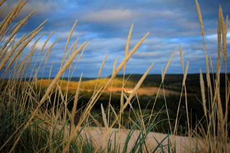 Sleeping bear dunes national lakeshore, Empire, United states photo