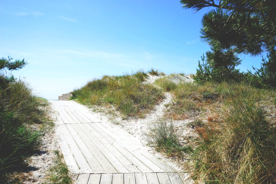 Sweden, Skanrfalsterbo, Hot
