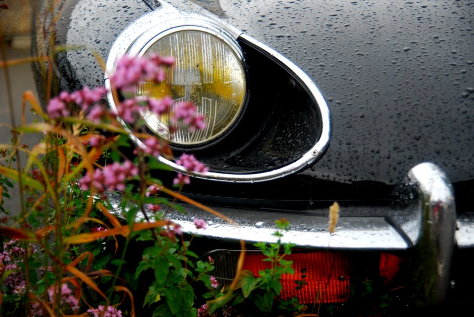 parked back car