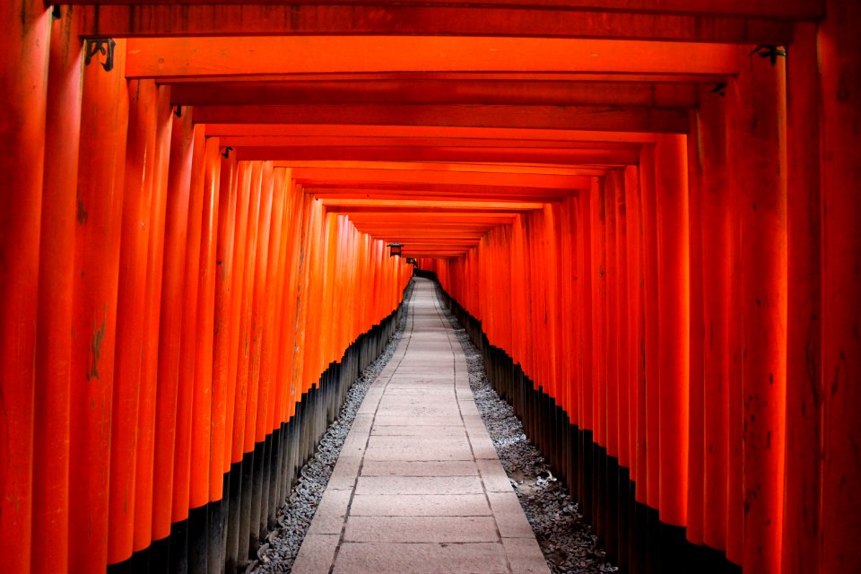 architectural photography of red wooden tori gate