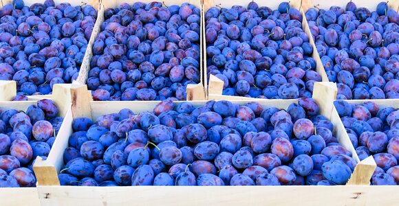 Fruit healthy market