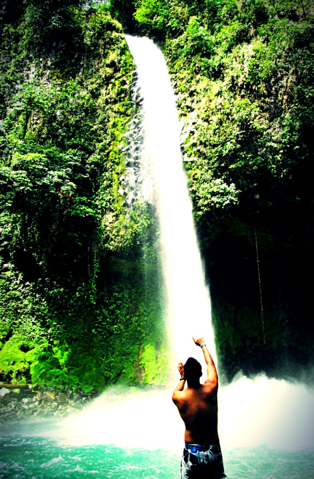 Costa rica, Forest, Nature