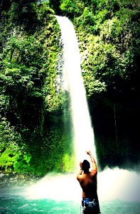 Costa rica, Forest, Nature