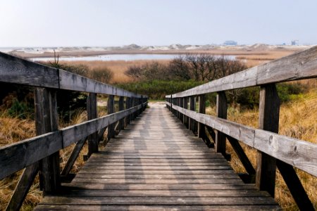 brown wooden bridge photo