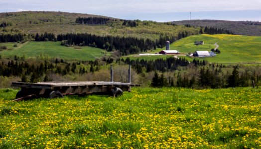 Canada, Mabou, Rural