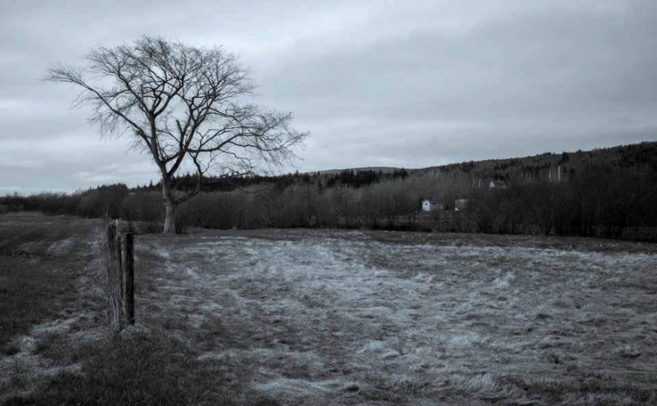 Canada, Inverness, Momotone