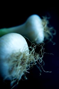 Vegetables, Onion, Still life