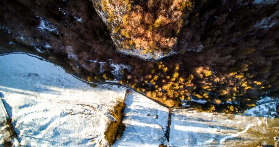 aerial photography of brown trees and mountain photo