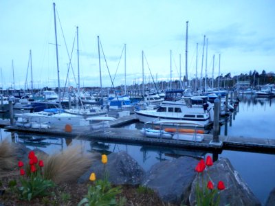 Bellingham, United states, Marina photo