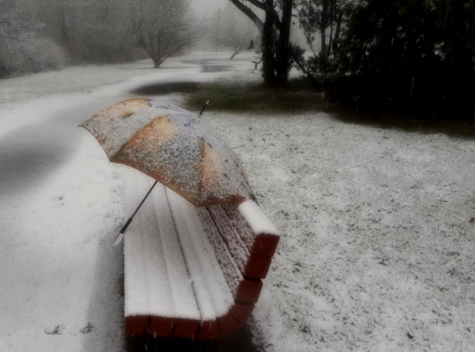 Bellingham, United states, Winter