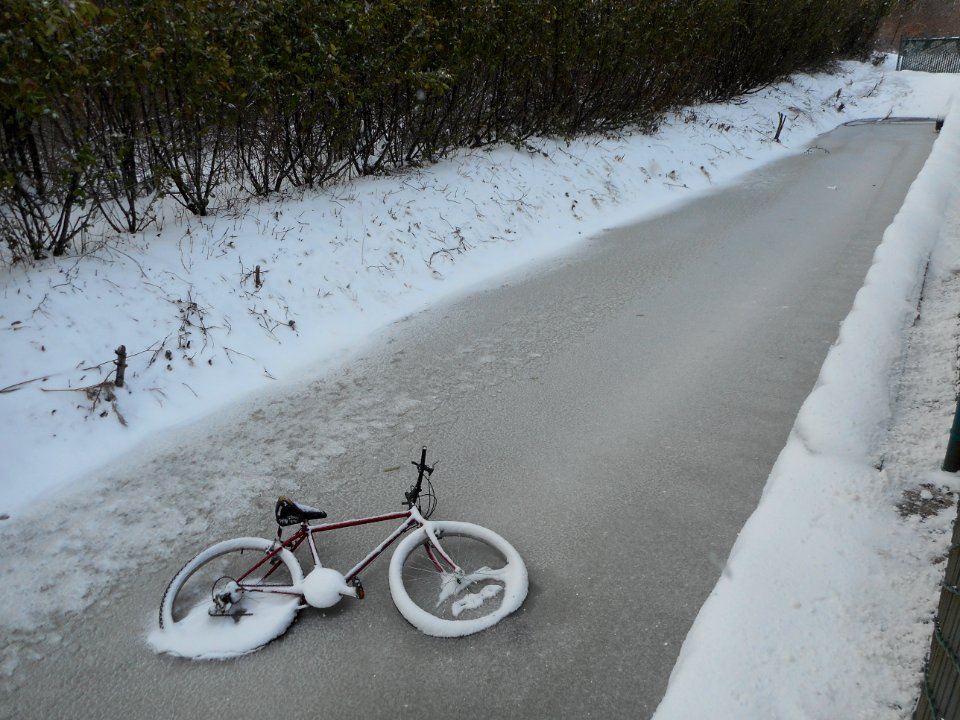 Bellingham, United states, Frozen