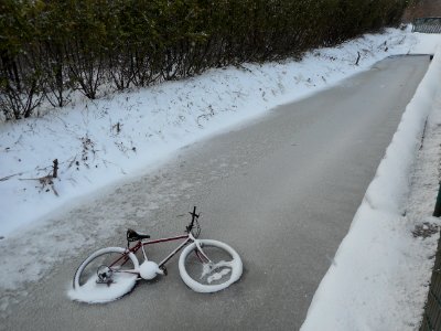 Bellingham, United states, Frozen photo