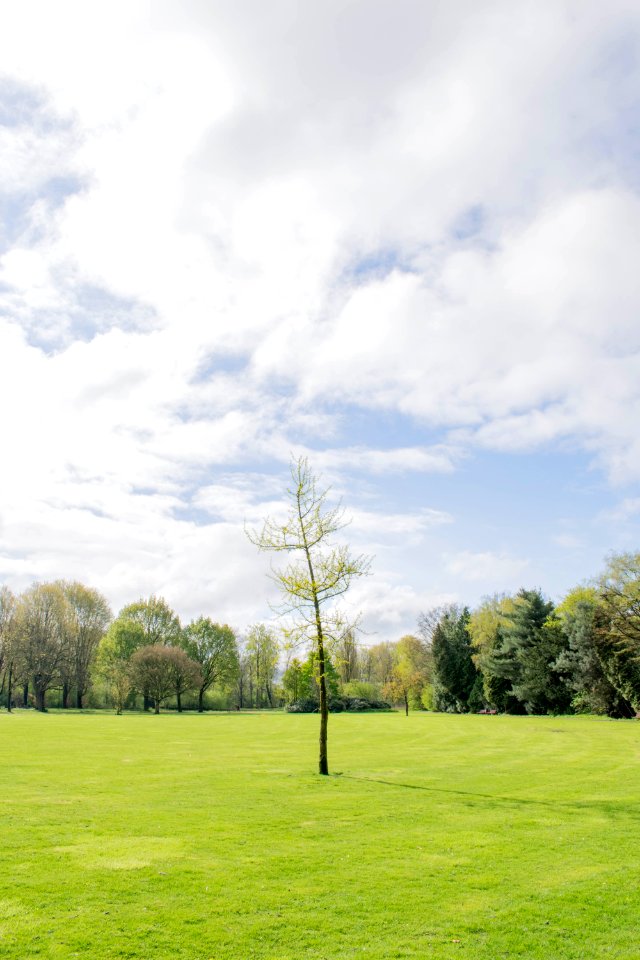 Leijpark, Tilburg, Netherl