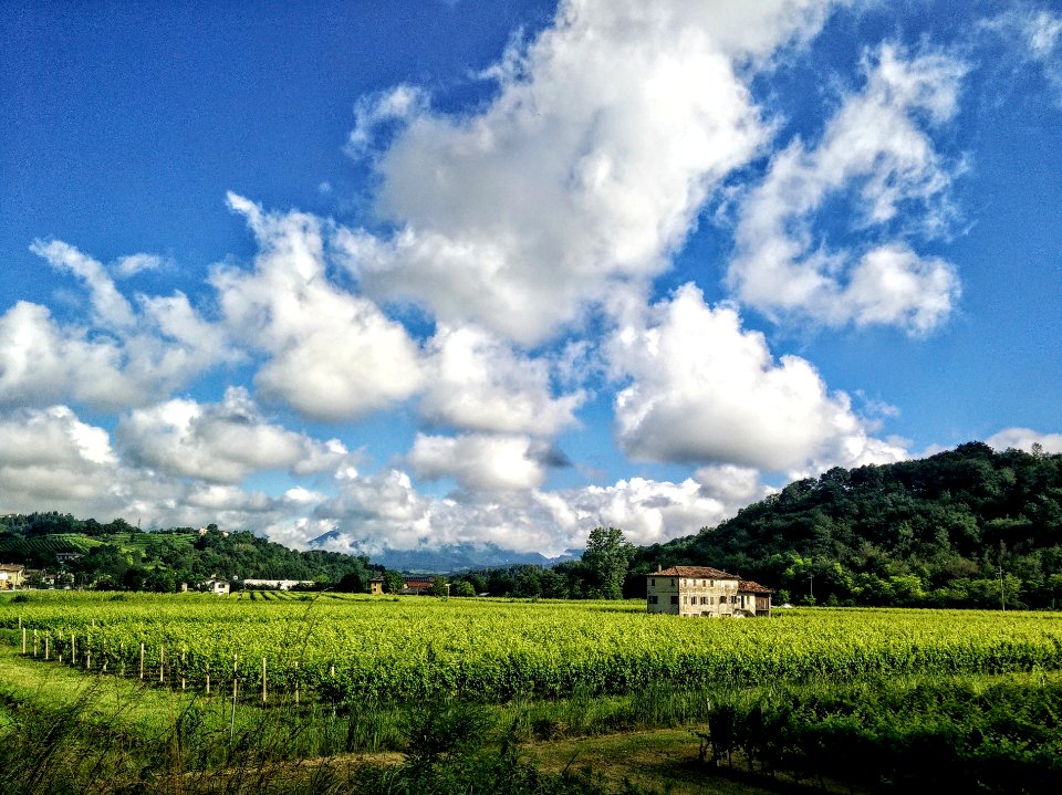 Conegliano, Italy, Scape