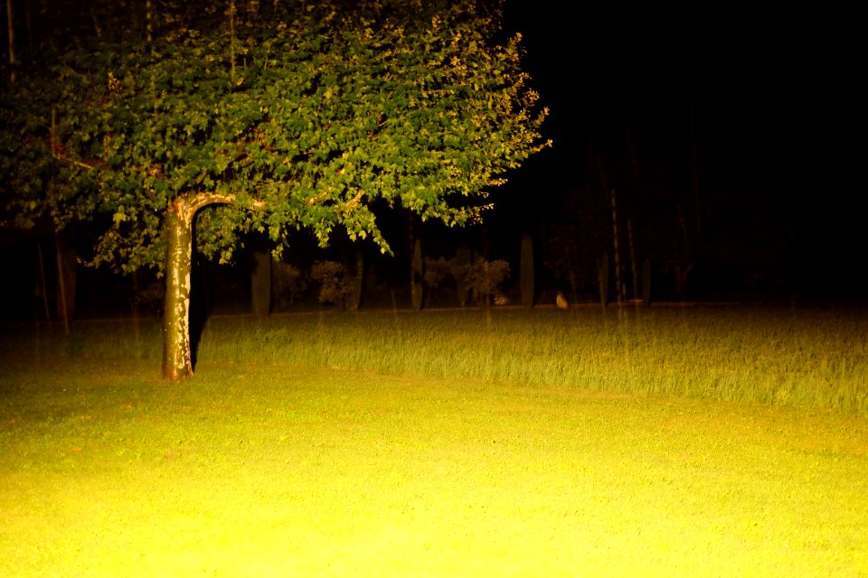 Mollgs, France, Night
