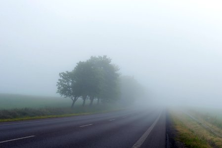 landscape photography of freeway surrounded with fogs