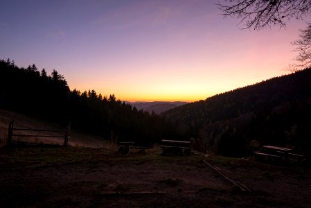 Trees, Forest, Moutains photo