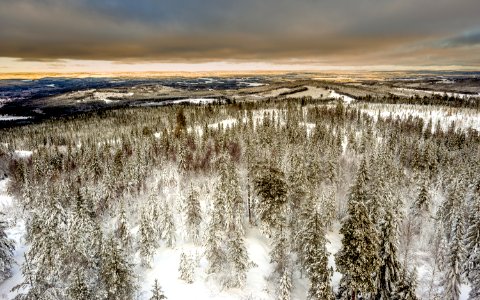aerial photography of snow covered green leaf trees under cloudy sky photo
