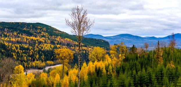 Hljes, Sweden, Photography